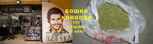 сатива Абаза