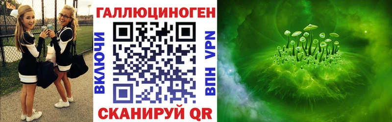 где найти   Кингисепп  кракен tor  Псилоцибиновые грибы Magic Shrooms 